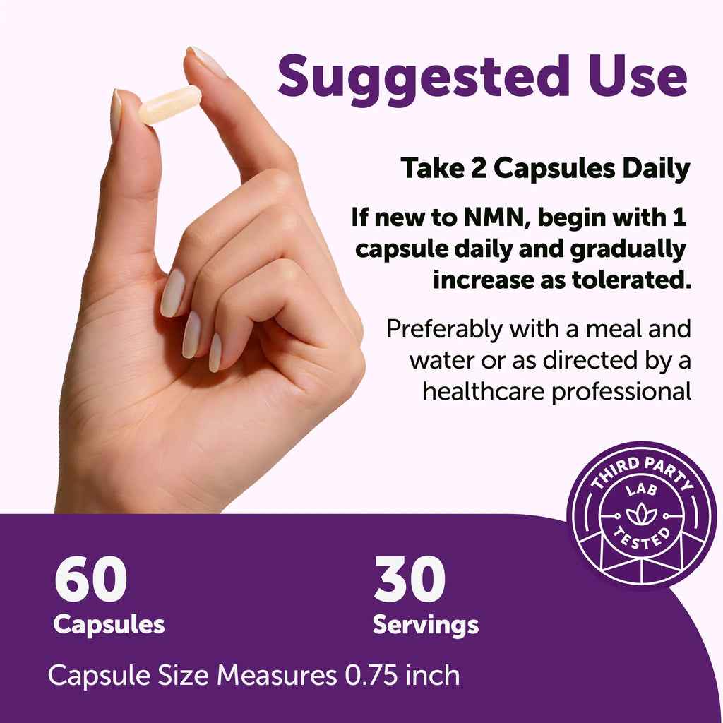 2-Piece Set Micro Ingredients NMN Complex 1,000mg Per Serving, 10-1 Complex, Zero Filler, Pure NMN 500mg with Vitamin C, Resveratrol, CoQ10, TMG, Quercetin, & Glutathione | NAD+ Supplement Precursor