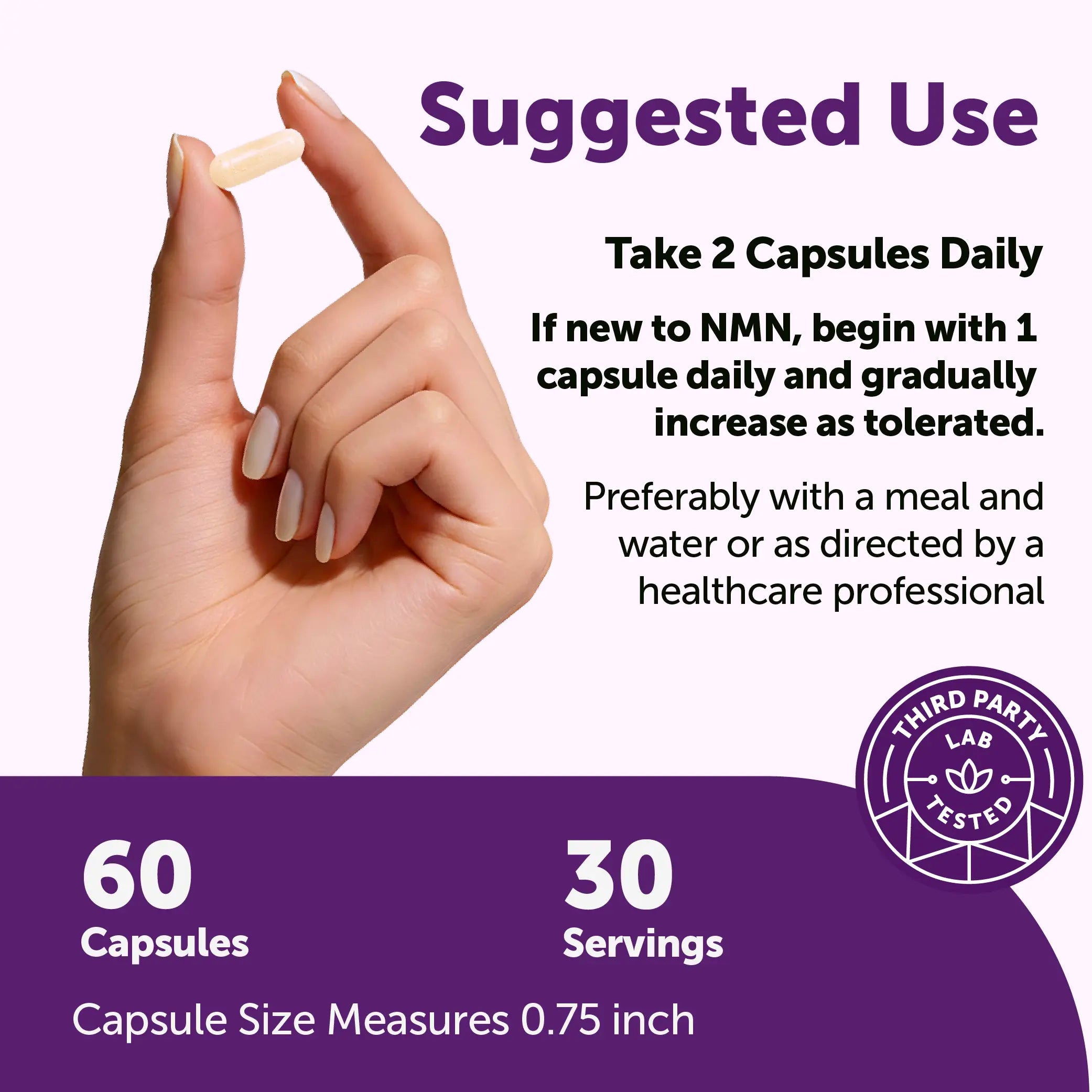 2-Piece Set Micro Ingredients NMN Complex 1,000mg Per Serving, 10-1 Complex, Zero Filler, Pure NMN 500mg with Vitamin C, Resveratrol, CoQ10, TMG, Quercetin, & Glutathione | NAD+ Supplement Precursor