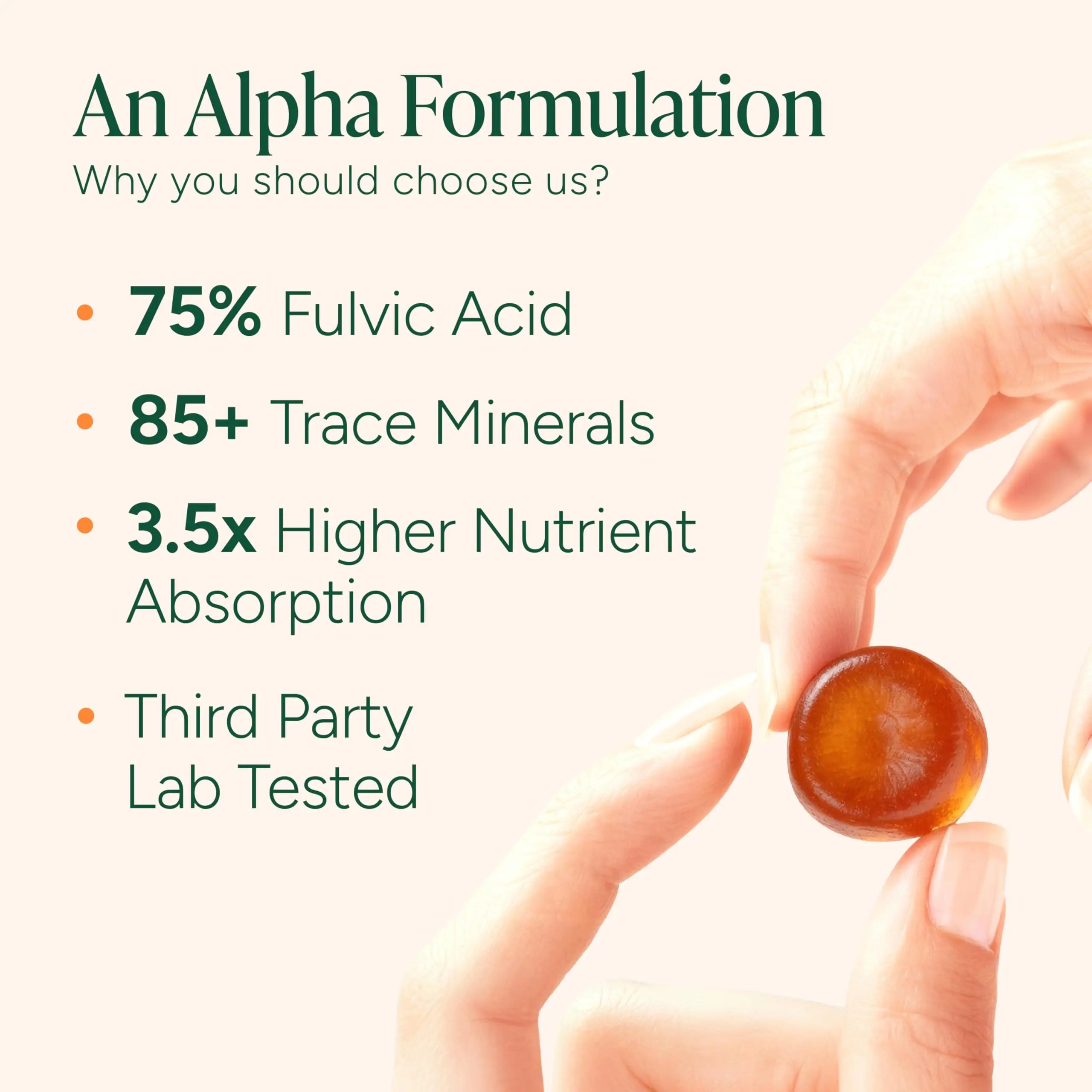 2-Piece Set Root Labs Alpha 10-in-1 Shilajit Gummies 4000 mg | New Year New Me Edition | Start 2026 Strong | Energy, Stamina & Focus | Zero Sugar | KSM-66 Ashwagandha, Tongkat Ali, Maca | Vegan | 60 Count | Transform Your Health Goals