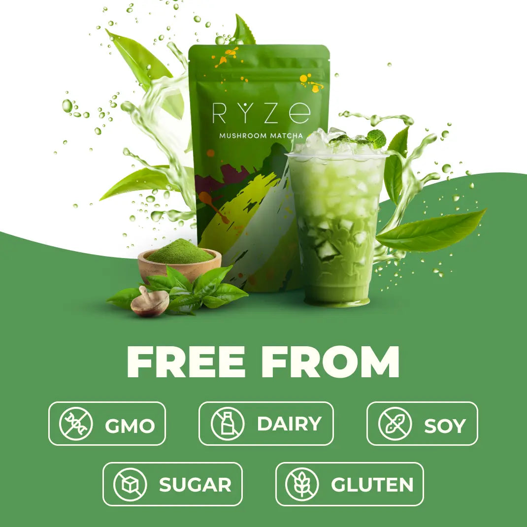 2-Piece Set RYZE Mushroom Matcha, USDA Organic with 6 Adaptogenic Mushrooms and Ceremonial-Grade Japanese Matcha for Energy, Focus, Digestion, Immunity with Turkey Tail, Shiitake, Lion's Mane, Reishi, 30 servings