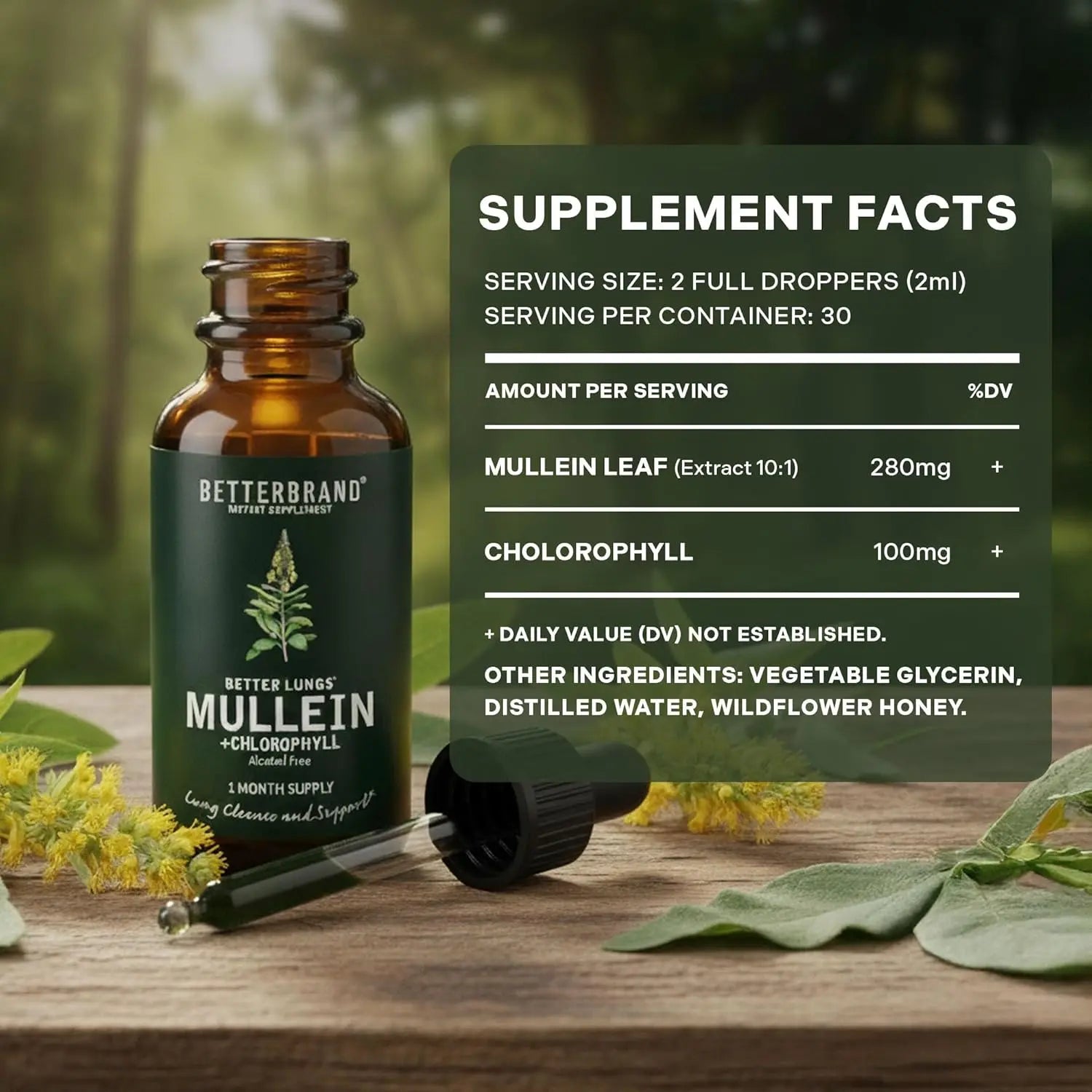 2-Piece Set Betterbrand Mullein Leaf & Chlorophyll Drops for Lung Detox & Mucus Cleanse - 30 Servings - Clinically Studied Natural Liquid Herbal Supplement for Respiratory Wellness