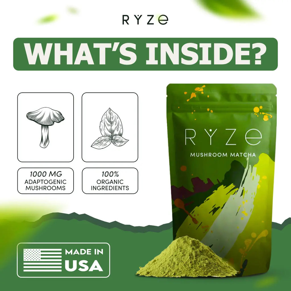 2-Piece Set RYZE Mushroom Matcha, USDA Organic with 6 Adaptogenic Mushrooms and Ceremonial-Grade Japanese Matcha for Energy, Focus, Digestion, Immunity with Turkey Tail, Shiitake, Lion's Mane, Reishi, 30 servings