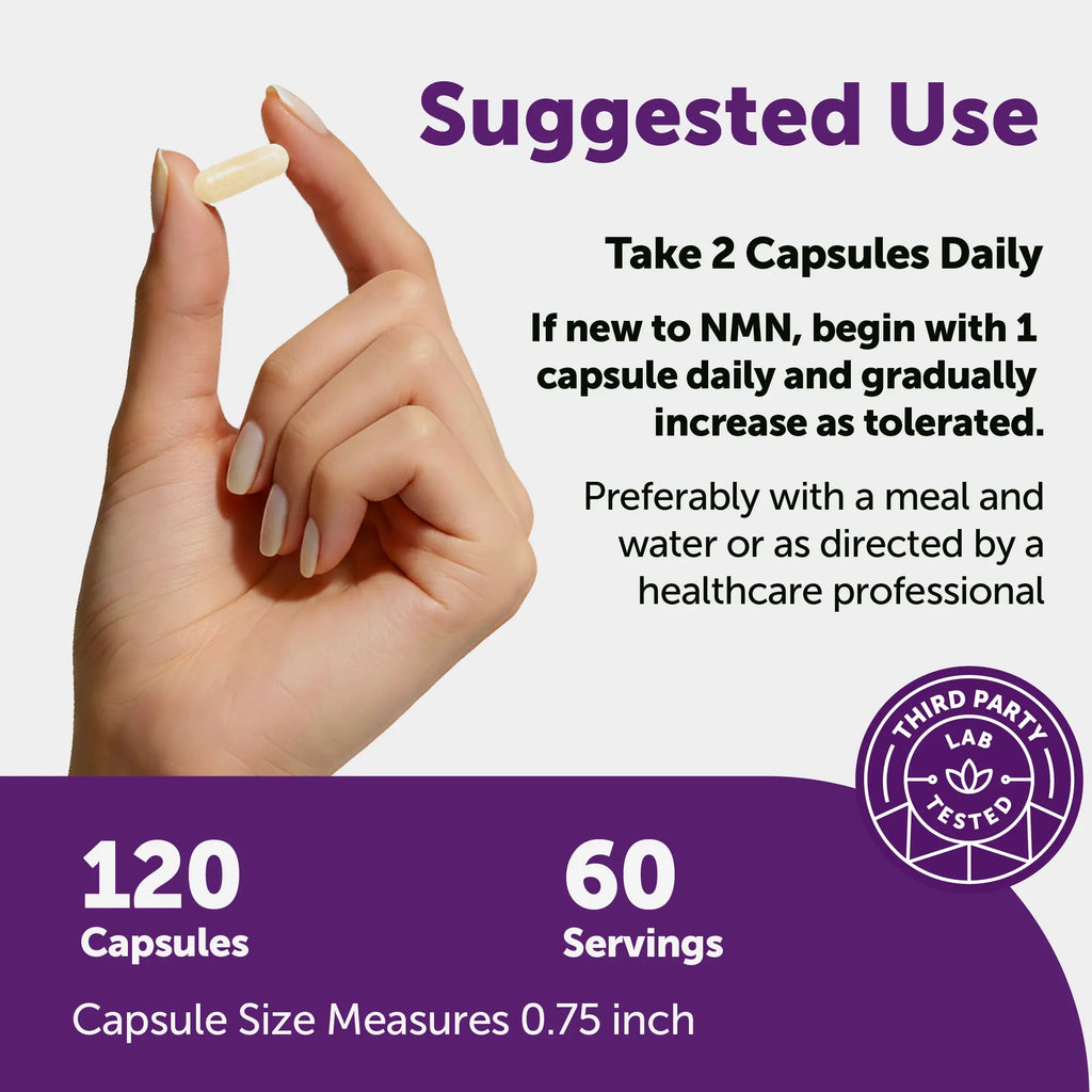 2-Piece Set Micro Ingredients NMN Complex 1,000mg Per Serving, 10-1 Complex, Zero Filler, Pure NMN 500mg with Vitamin C, Resveratrol, CoQ10, TMG, Quercetin, & Glutathione | NAD+ Supplement Precursor