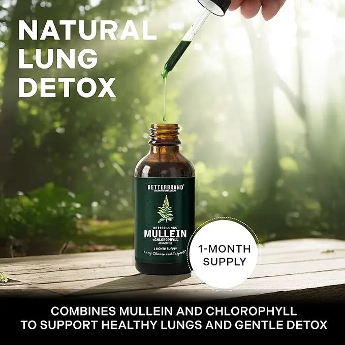 2-Piece Set Betterbrand Mullein Leaf & Chlorophyll Drops for Lung Detox & Mucus Cleanse - 30 Servings - Clinically Studied Natural Liquid Herbal Supplement for Respiratory Wellness