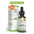 2-Piece Set Liquid Chlorophyll Drops (4 Month Supply) Healthcare Supplement - Natural Deodorant and Detox - Gut Support Healthcare Liver