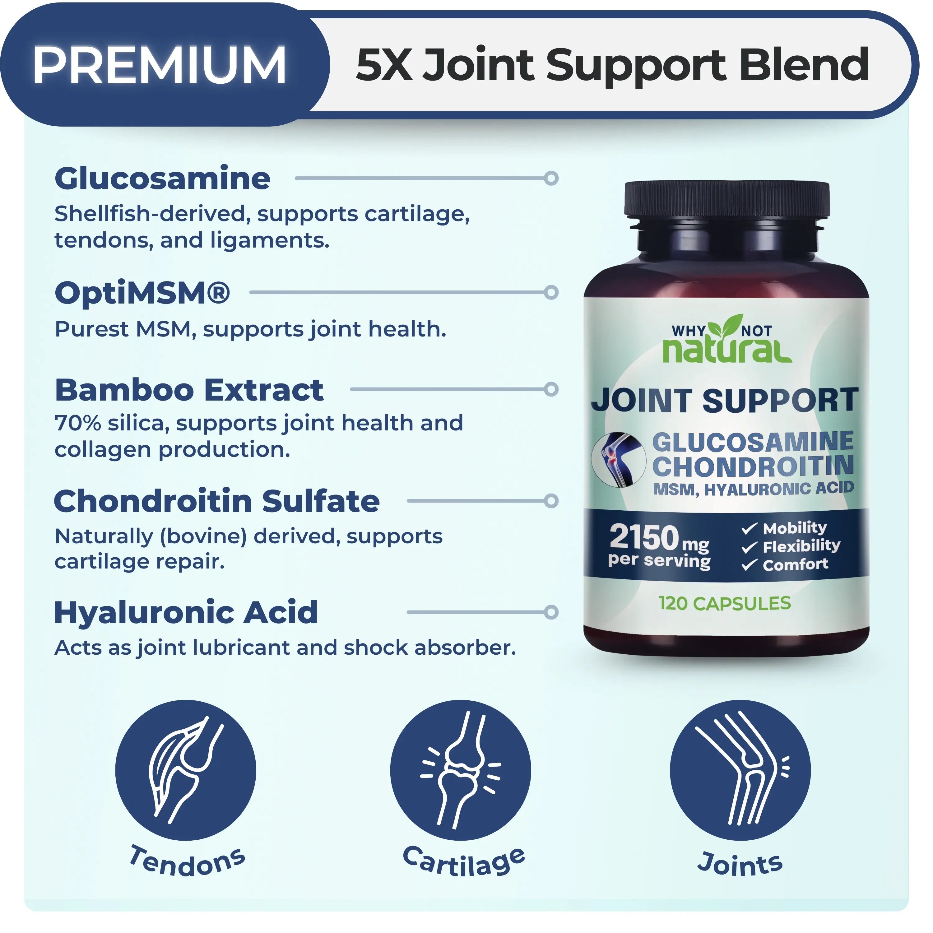 2-Piece Set Why Not Natural Glucosamine Chondroitin MSM, Joint Support Supplement