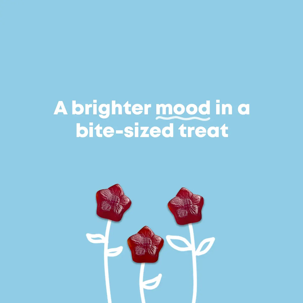 2-Piece Set JoySpring Saffron Mood Munchies Gummies – Plant-Based Saffron Formula for Daily Wellness Designed to Support Mood and Focus