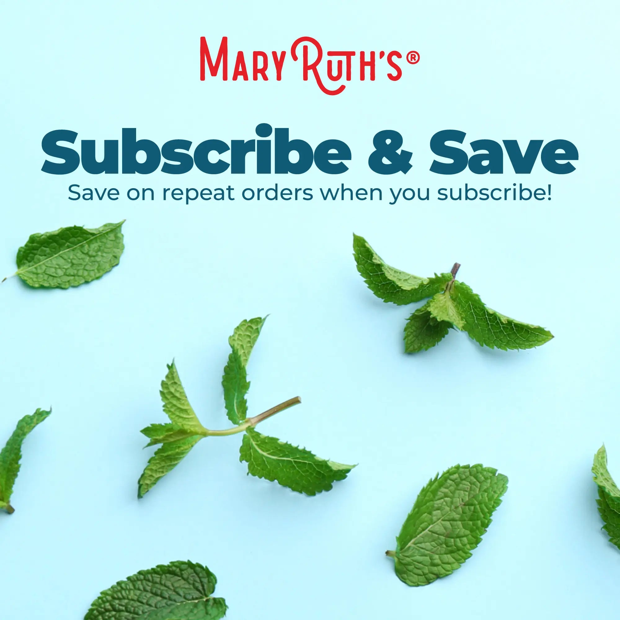 2-Piece Set MaryRuth's Vegan Chlorophyll Liquid Drops - Non-Diluted Liquid Chlorophyll - Mulberry Derived Supplement - Non-GMO - Delicious Minty Flavor - 2 Fl Oz