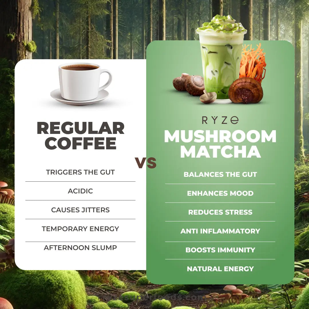 2-Piece Set RYZE Mushroom Matcha, USDA Organic with 6 Adaptogenic Mushrooms and Ceremonial-Grade Japanese Matcha for Energy, Focus, Digestion, Immunity with Turkey Tail, Shiitake, Lion's Mane, Reishi, 30 servings
