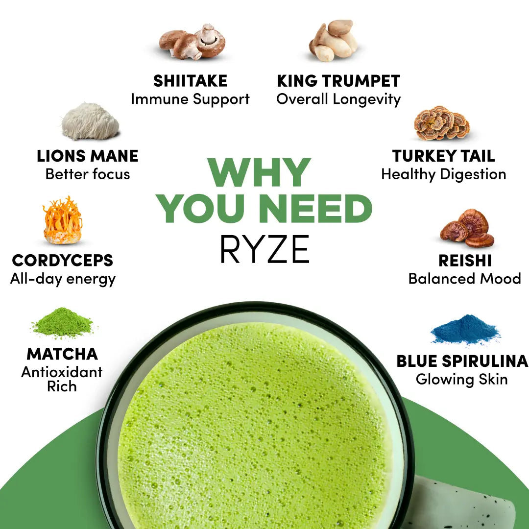 2-Piece Set RYZE Mushroom Matcha, USDA Organic with 6 Adaptogenic Mushrooms and Ceremonial-Grade Japanese Matcha for Energy, Focus, Digestion, Immunity with Turkey Tail, Shiitake, Lion's Mane, Reishi, 30 servings