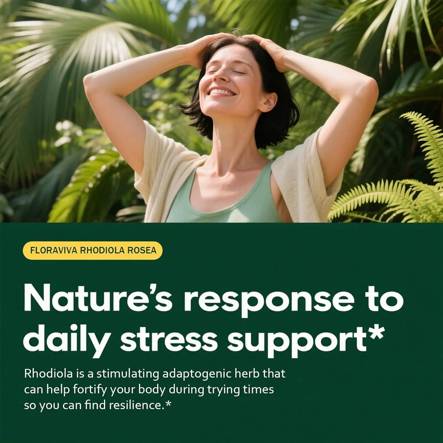 2-Piece Set Natural Rhodiola Rosea Wellness Capsules 500mg - Natural Adaptogen Supplement for Stress Support, Mental Focus & Energy - Non-GMO (60 Capsules) Dietary Supplement, More Natural ingredient