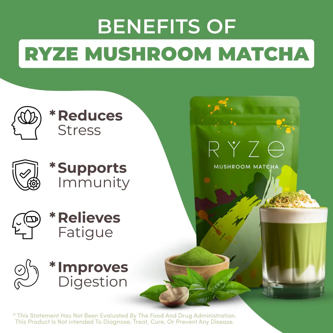 2-Piece Set RYZE Mushroom Matcha, USDA Organic with 6 Adaptogenic Mushrooms and Ceremonial-Grade Japanese Matcha for Energy, Focus, Digestion, Immunity with Turkey Tail, Shiitake, Lion's Mane, Reishi, 30 servings