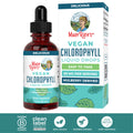 2-Piece Set MaryRuth's Vegan Chlorophyll Liquid Drops - Non-Diluted Liquid Chlorophyll - Mulberry Derived Supplement - Non-GMO - Delicious Minty Flavor - 2 Fl Oz
